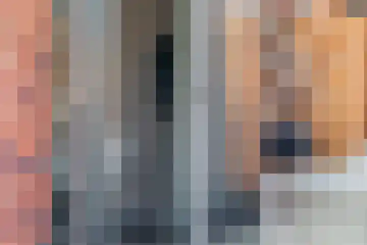 Rijnvallei 14 Ede thumbnail 32