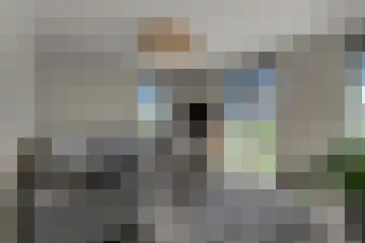 Rijnvallei 14 Ede thumbnail 4