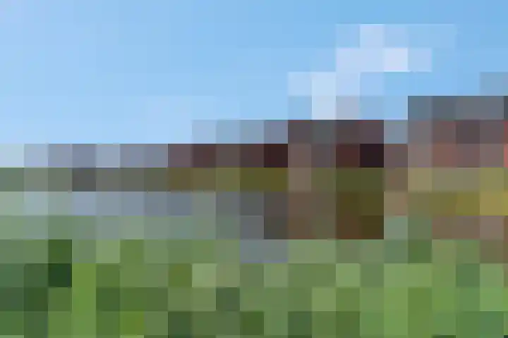 Rijnvallei 14 Ede thumbnail 42