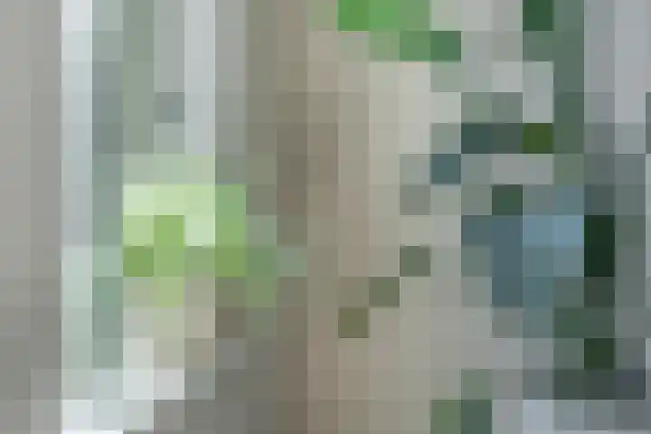 Rijnvallei 14 Ede thumbnail 8