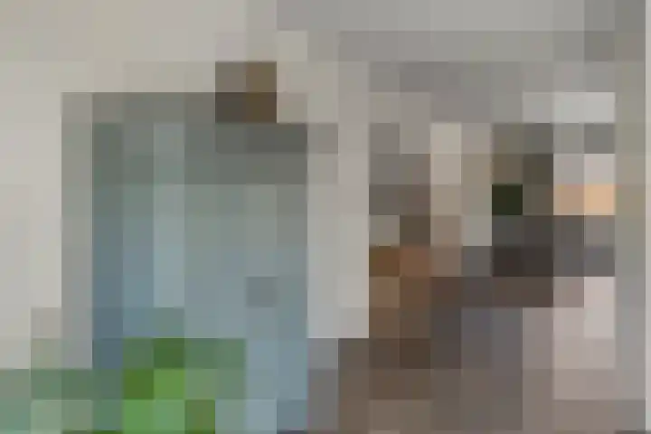 Rijnvallei 14 Ede thumbnail 9