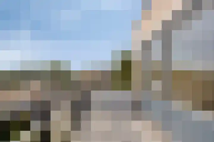 Rijnveste 12 's-Gravenzande thumbnail 10