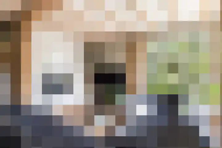 Rijnvis 22 Hulshorst thumbnail 13
