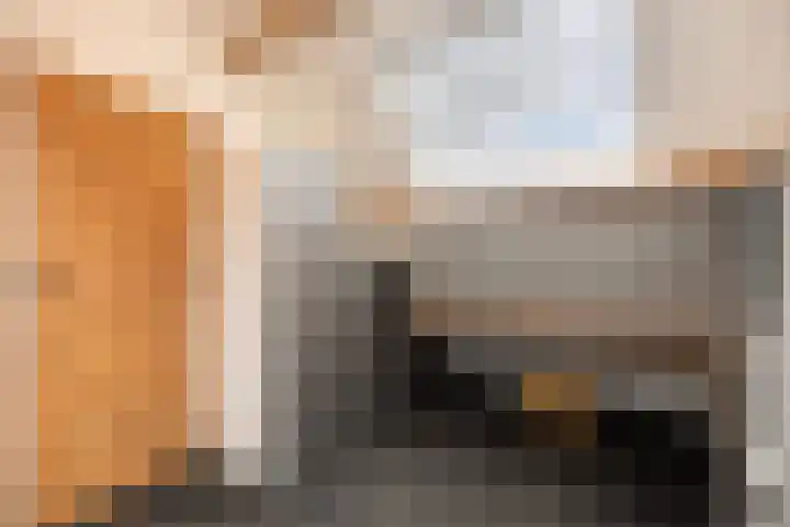 Rijnvis 22 Hulshorst thumbnail 19
