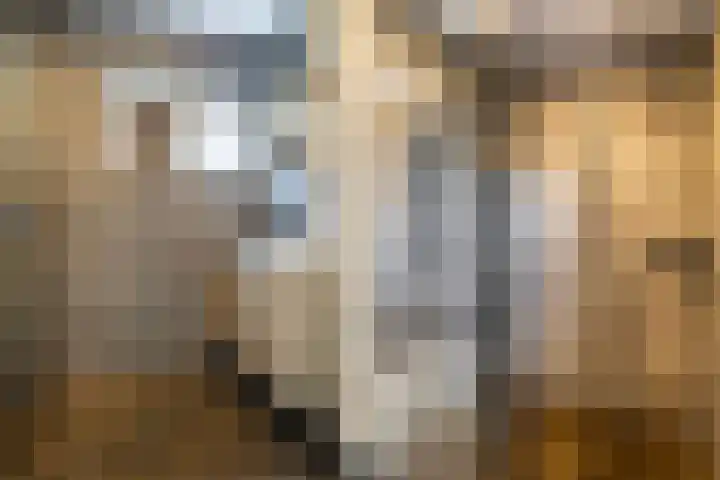 Rijnvis 22 Hulshorst thumbnail 28
