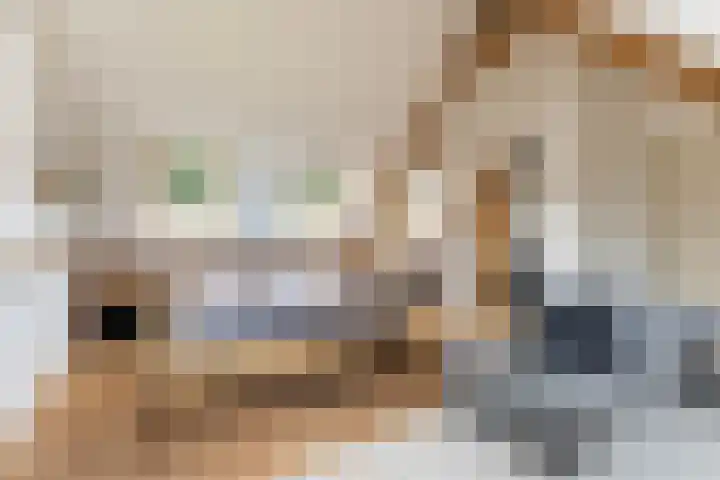 Rijnvis 22 Hulshorst thumbnail 31