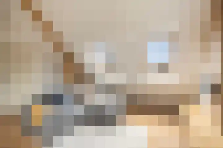 Rijnvis 22 Hulshorst thumbnail 32
