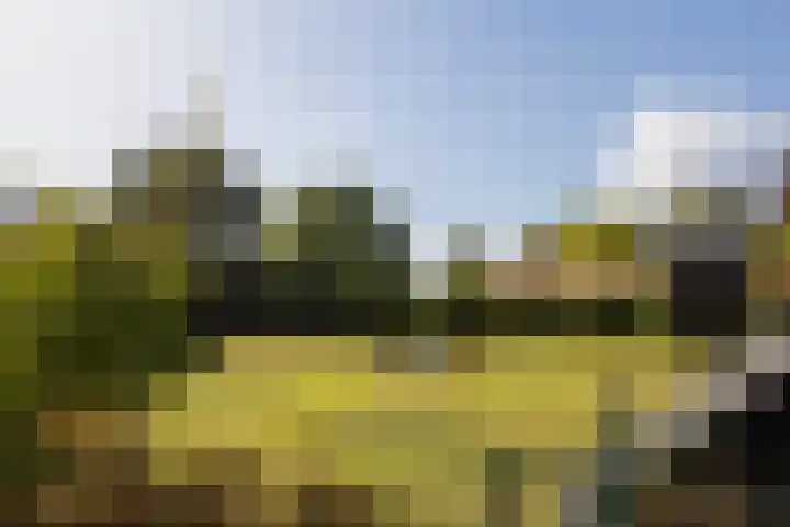 Rijnvis 22 Hulshorst thumbnail 37