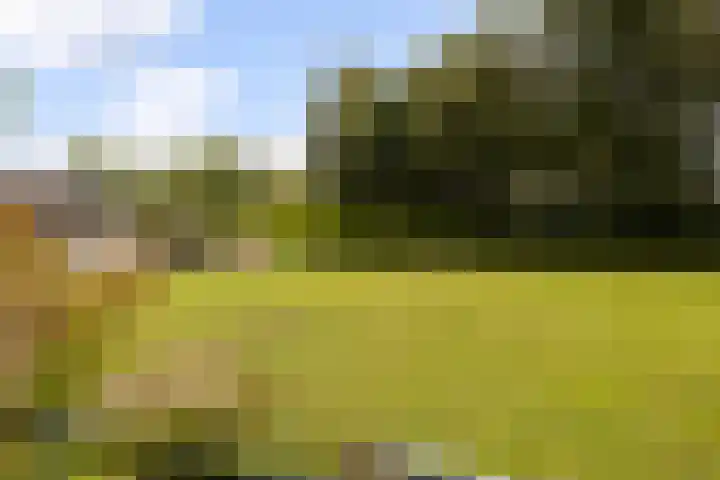 Rijnvis 22 Hulshorst thumbnail 38