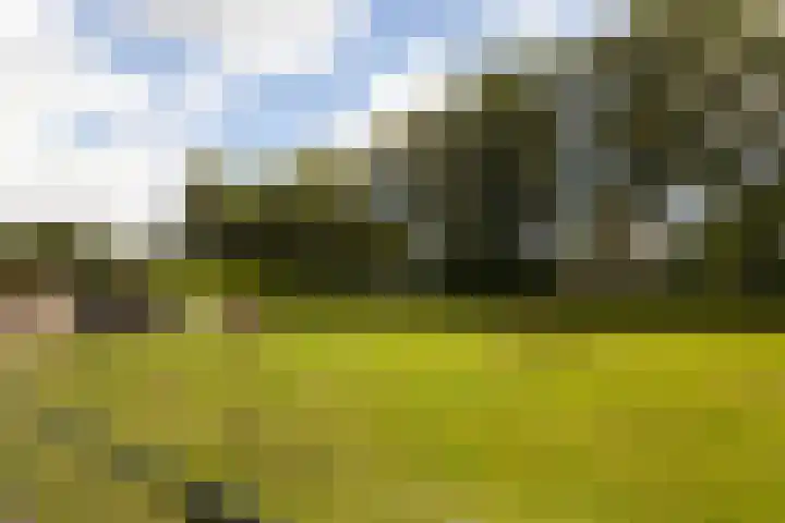 Rijnvis 22 Hulshorst thumbnail 39