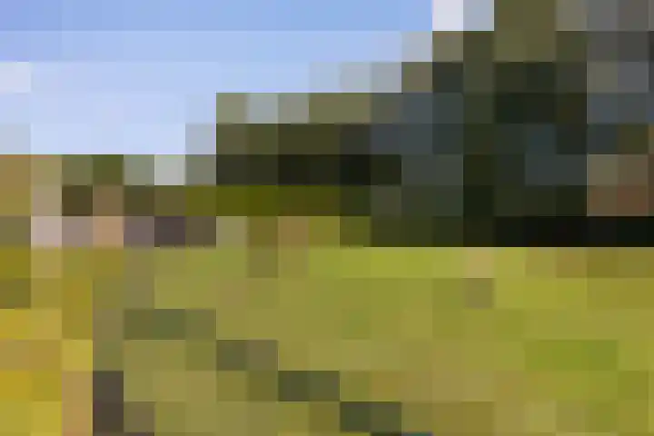 Rijnvis 22 Hulshorst thumbnail 40