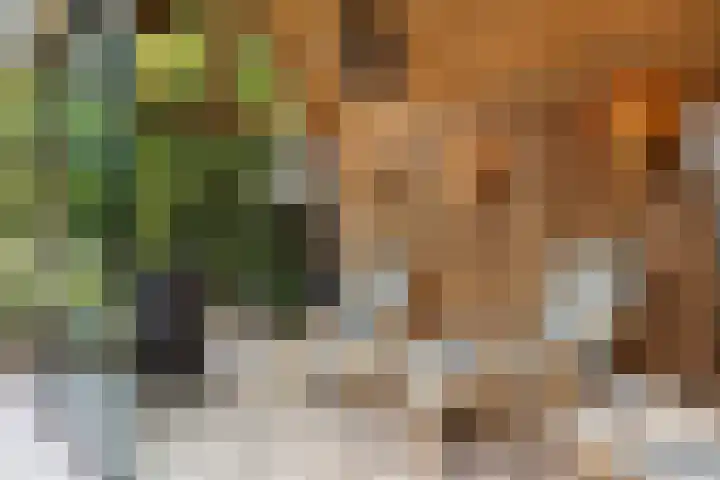 Rijnvis 22 Hulshorst thumbnail 42