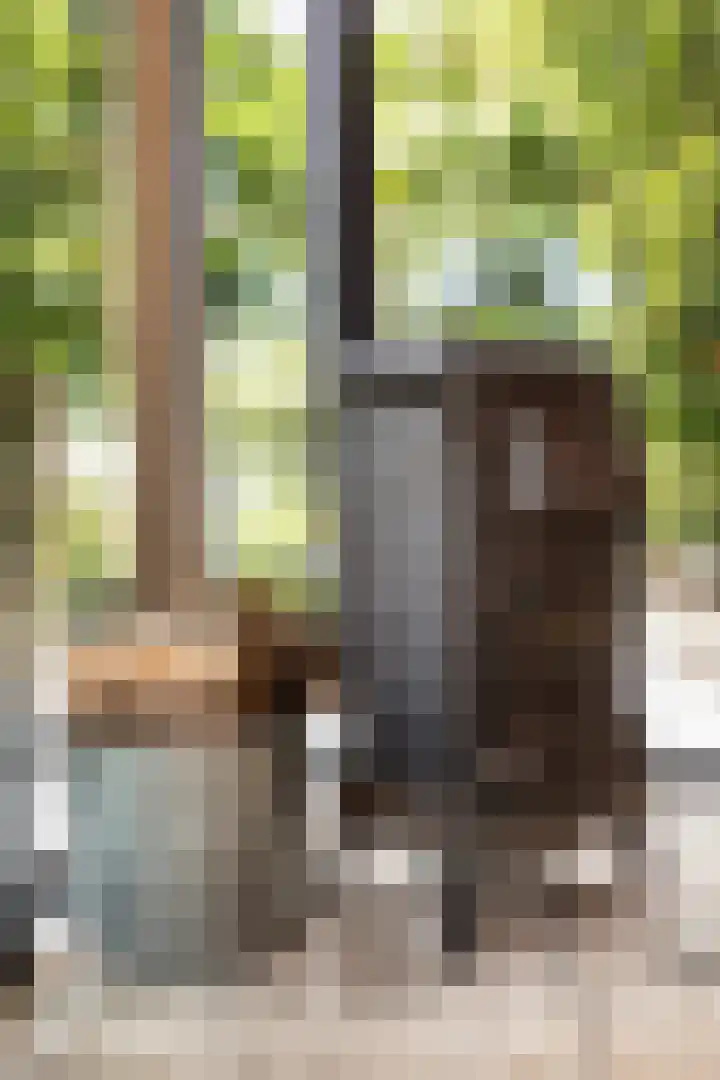Rijnvis 22 Hulshorst thumbnail 43
