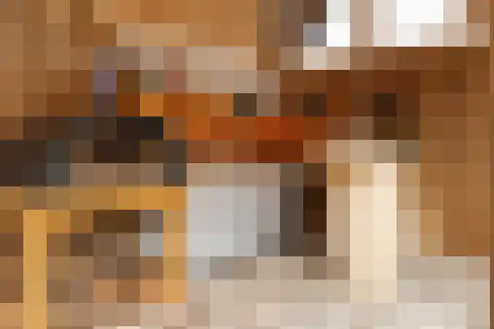 Rijnvis 22 Hulshorst thumbnail 45