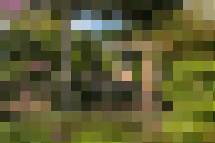 Rijnvis 22 Hulshorst thumbnail 47