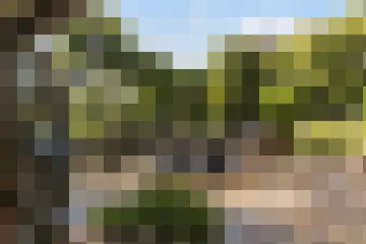Rijnvis 22 Hulshorst thumbnail 48