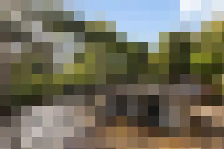 Rijnvis 22 Hulshorst thumbnail 49