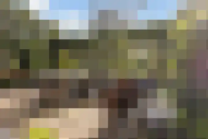 Rijnvis 22 Hulshorst thumbnail 50