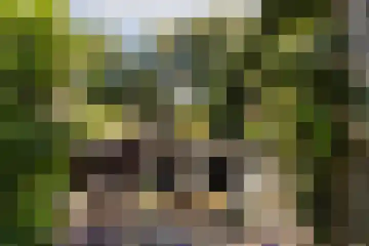 Rijnvis 22 Hulshorst thumbnail 52