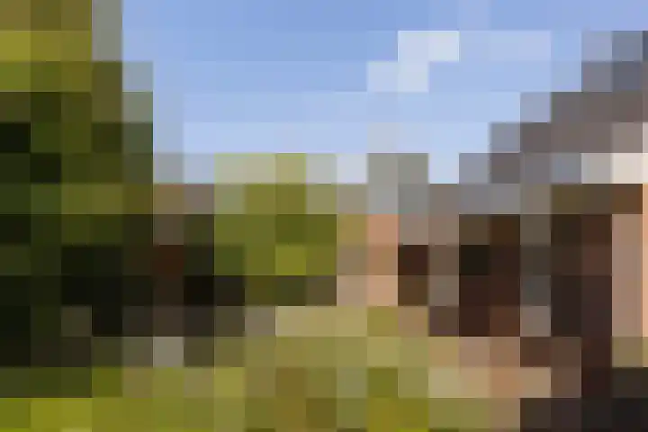 Rijnvis 22 Hulshorst thumbnail 53