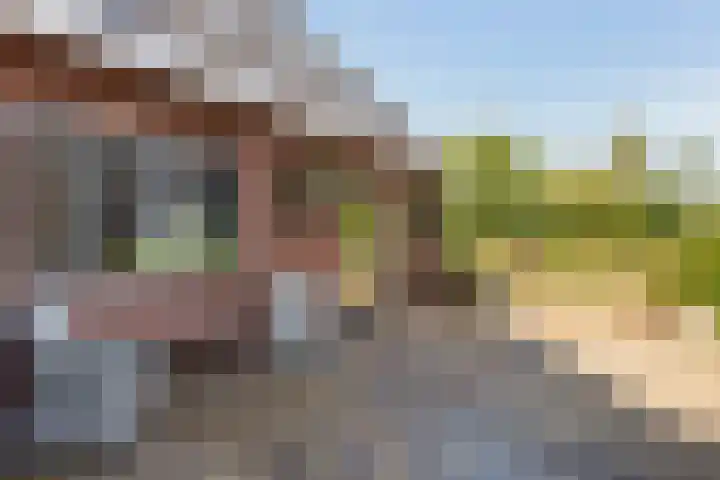 Rijnvis 22 Hulshorst thumbnail 55