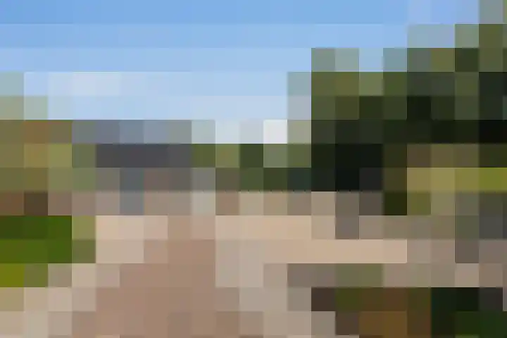 Rijnvis 22 Hulshorst thumbnail 58