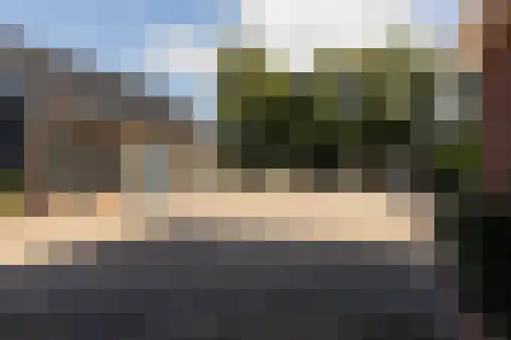 Rijnvis 22 Hulshorst thumbnail 59
