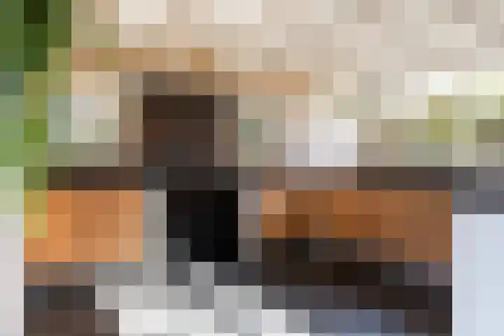 Rijnvis 22 Hulshorst thumbnail 6