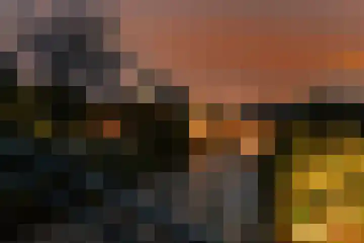 Rijnvis 22 Hulshorst thumbnail 60