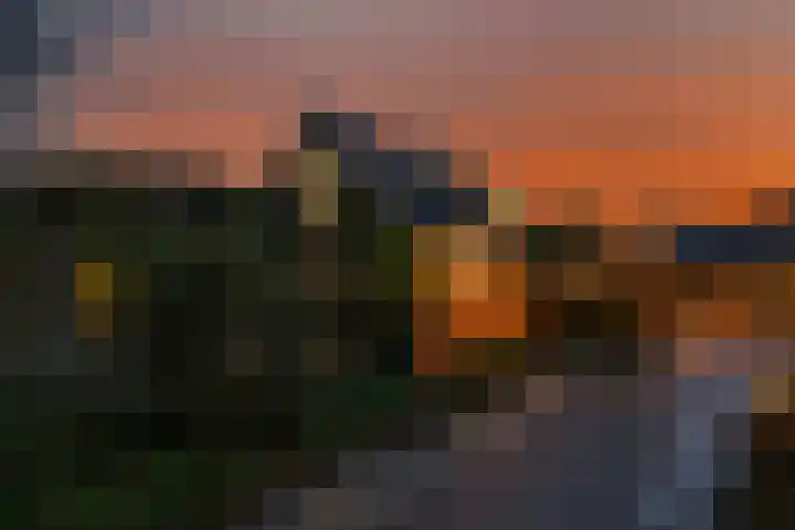 Rijnvis 22 Hulshorst thumbnail 61