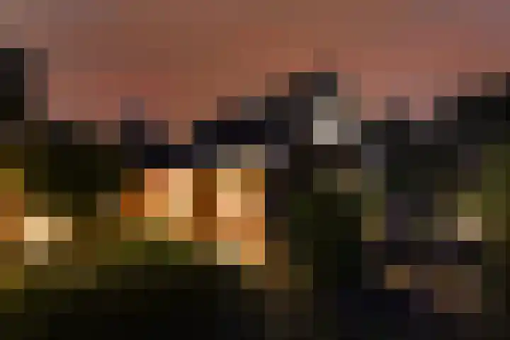 Rijnvis 22 Hulshorst thumbnail 69