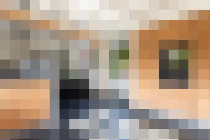 Rijnvis 22 Hulshorst thumbnail 7