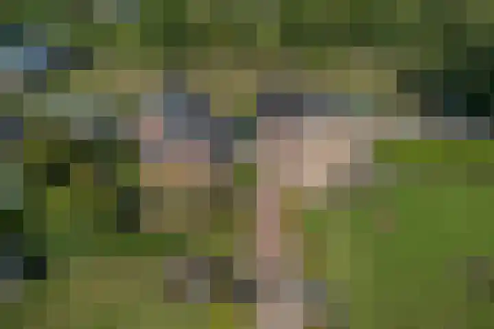 Rijnvis 22 Hulshorst thumbnail 70
