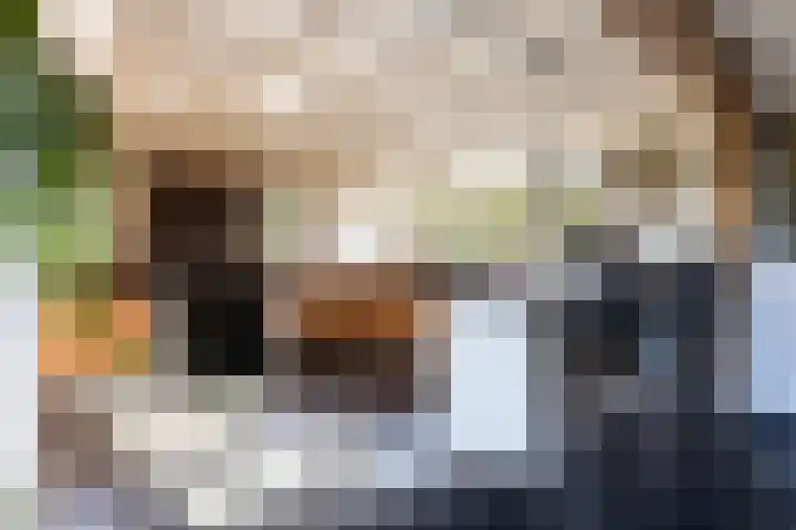 Rijnvis 22 Hulshorst thumbnail 9