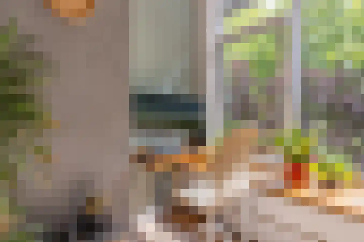 Rijnvoorde 18 Rotterdam thumbnail 13