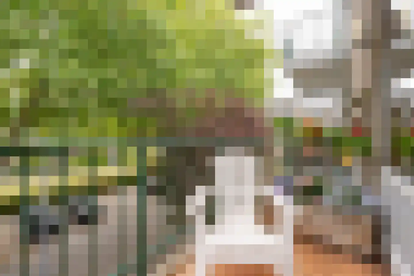 Rijnvoorde 18 Rotterdam thumbnail 16