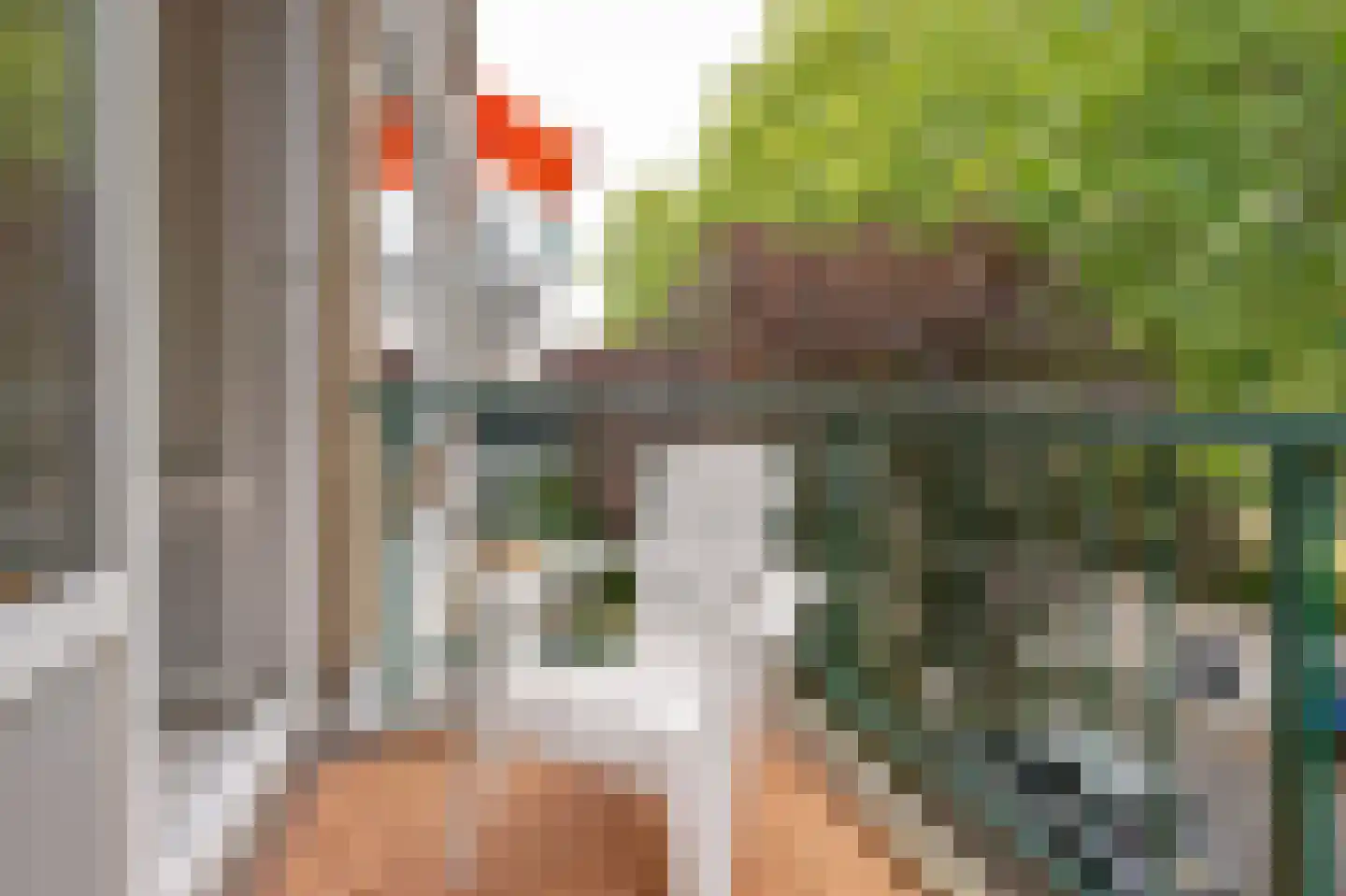 Rijnvoorde 18 Rotterdam thumbnail 17