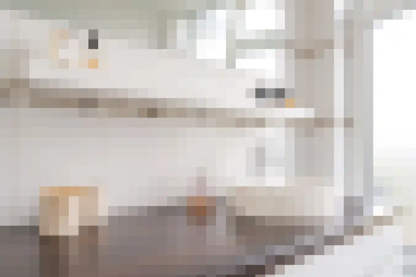 Rijnvoorde 18 Rotterdam thumbnail 30