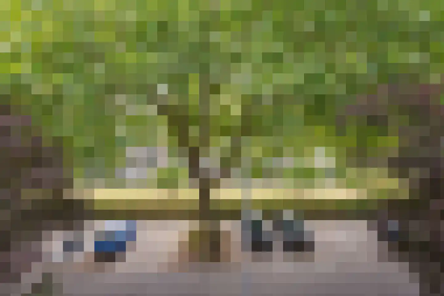 Rijnvoorde 18 Rotterdam thumbnail 32