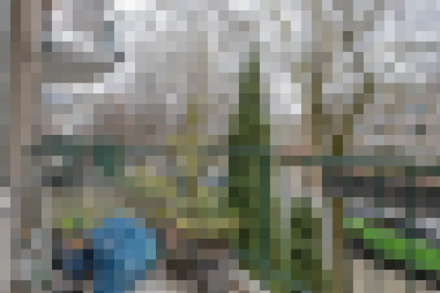 Rijnvoorde 22 Rotterdam thumbnail 12