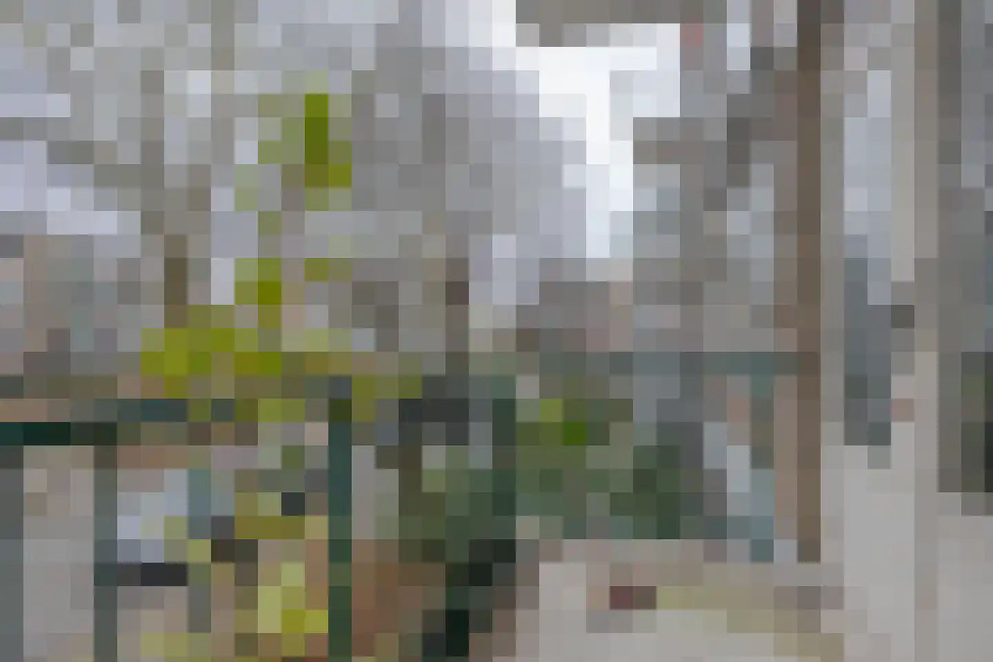 Rijnvoorde 22 Rotterdam thumbnail 13