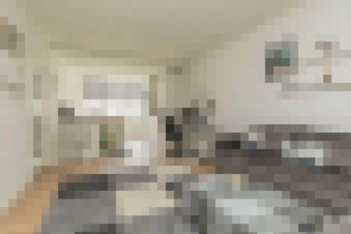 Rijnvoorde 28 Rotterdam thumbnail 8