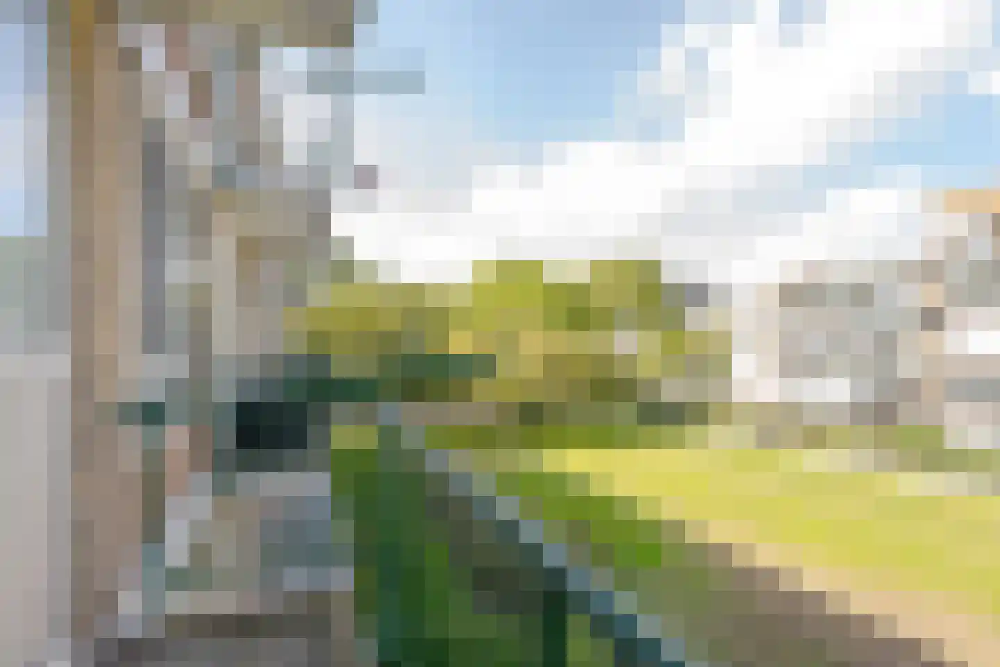 Rijnvoorde 30 Rotterdam thumbnail 26