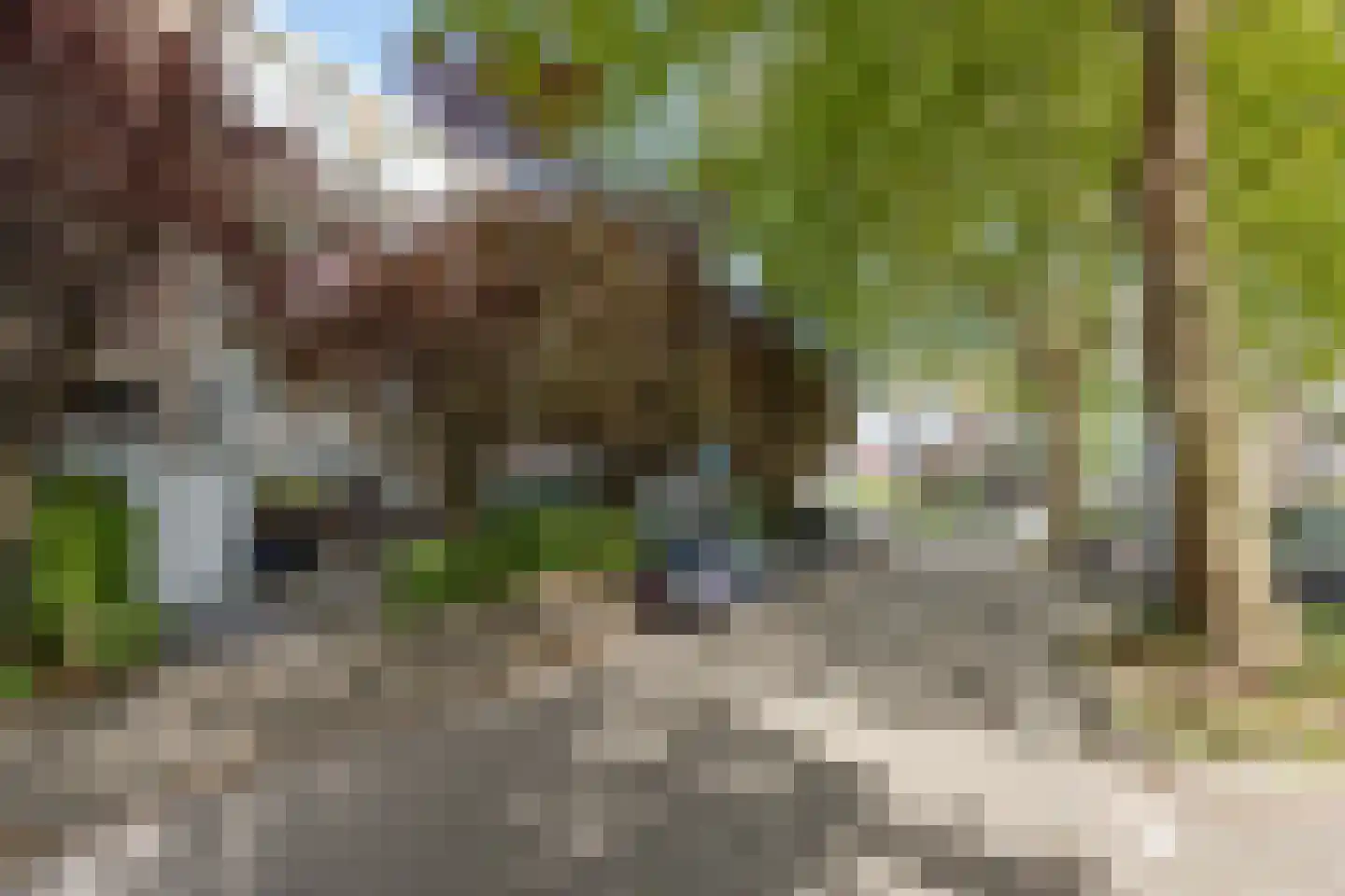 Rijnvoorde 30 Rotterdam thumbnail 30