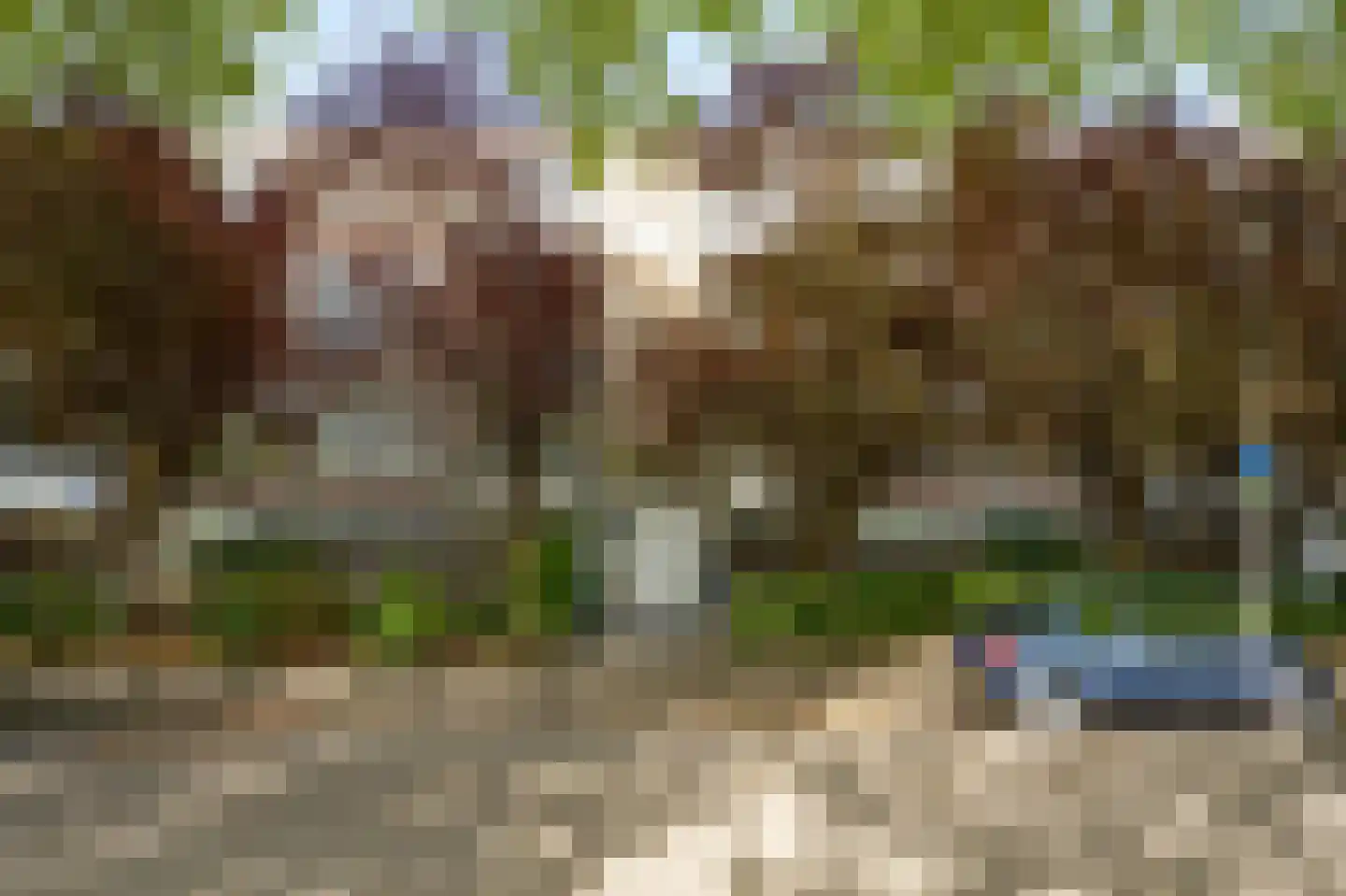 Rijnvoorde 30 Rotterdam thumbnail 7