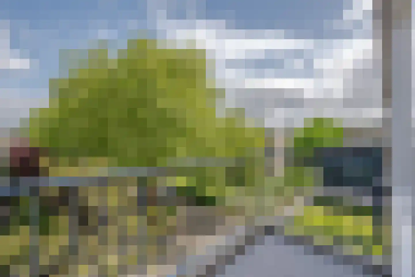 Rijnvoorde 41 Rotterdam thumbnail 13