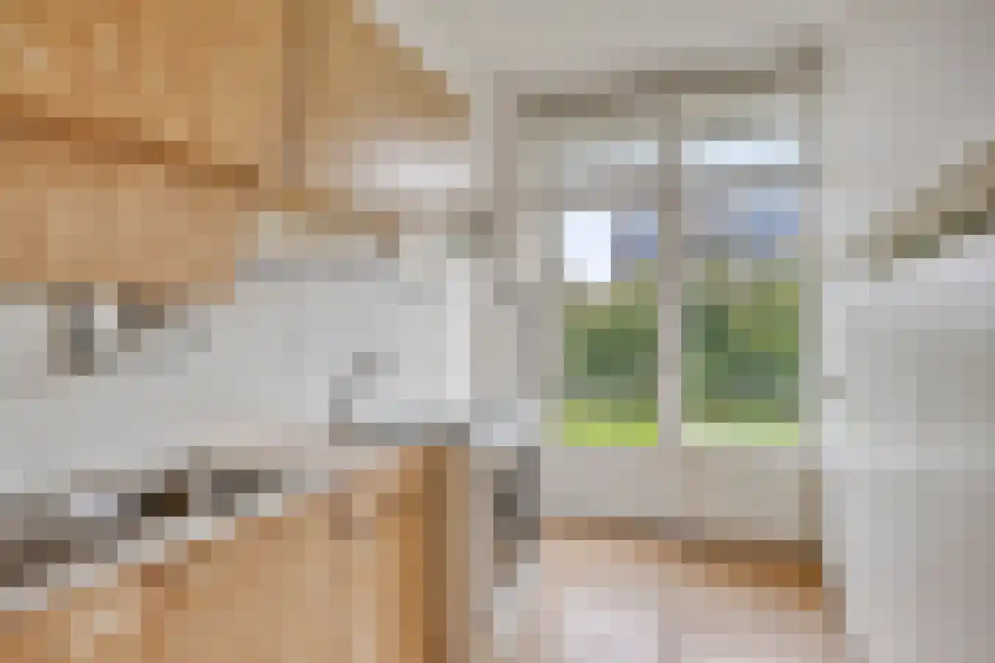 Rijnvoorde 50 Rotterdam thumbnail 4