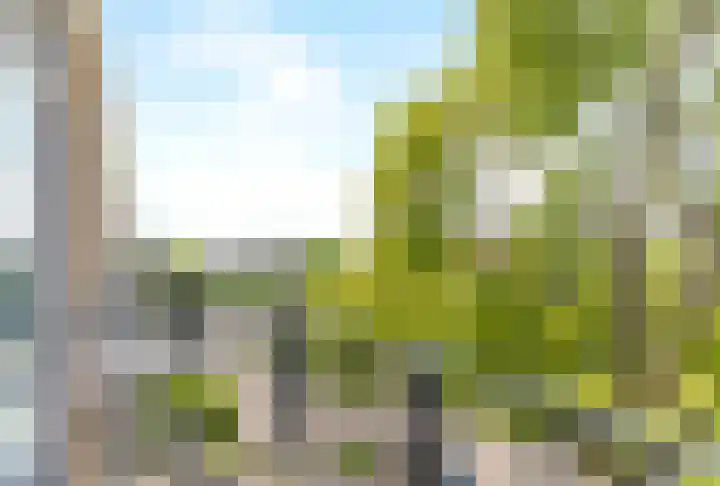 Rijnvoorde 78 Rotterdam thumbnail 14