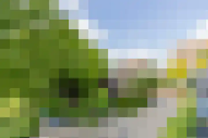 Rijnvoorde 78 Rotterdam thumbnail 16