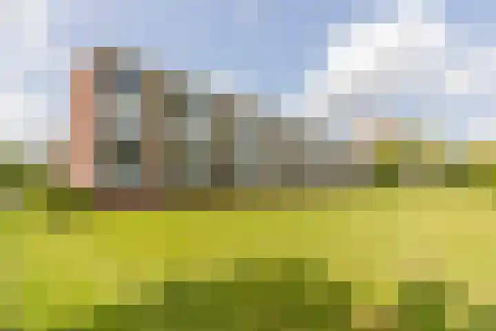 Rijnvoorde 78 Rotterdam thumbnail 17